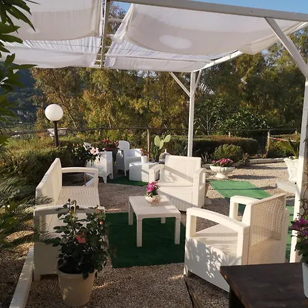 Rosa 4*